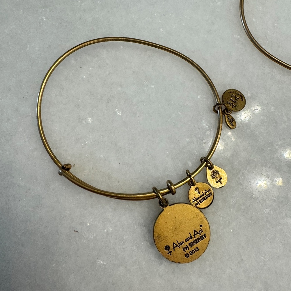 Alex and Ani “Scorpio” bracelet